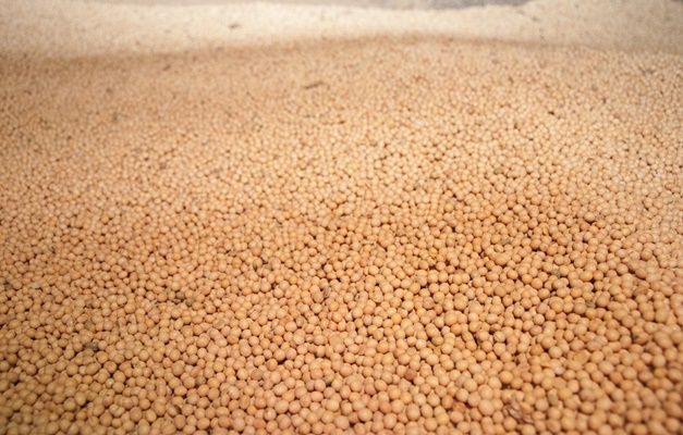 Safra goiana de grãos é estimada em 22,11 milhões de toneladas