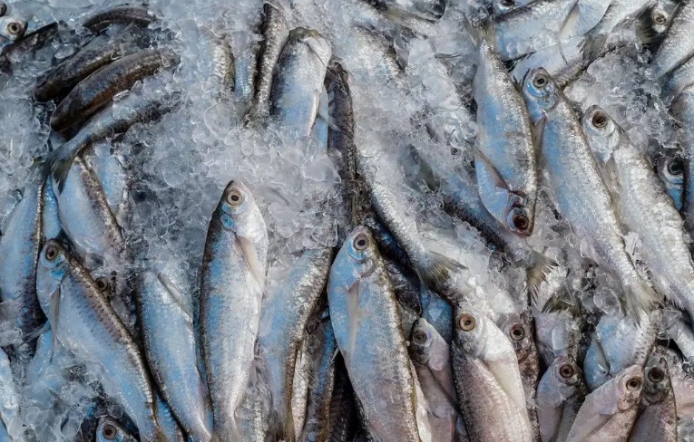 Saiba o que avaliar na hora de comprar pescados