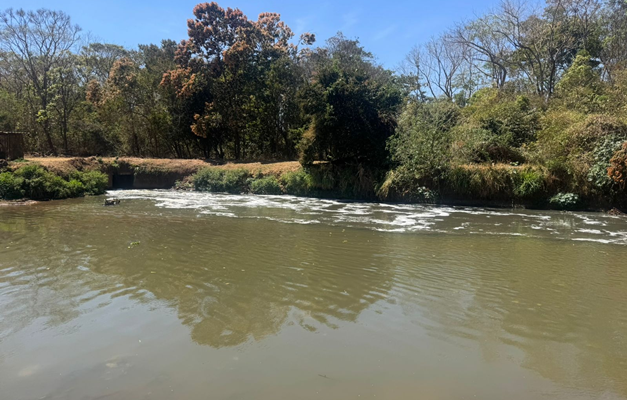 Secretaria do Meio Ambiente investiga espuma no Rio Meia Ponte em Goiânia