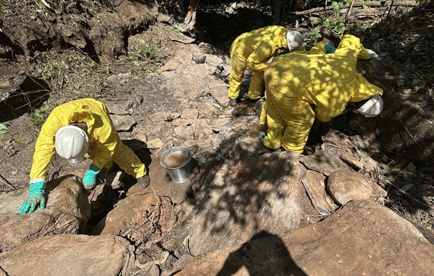 Semad multa envolvidos em vazamento de agrotóxicos no rio Vermelho