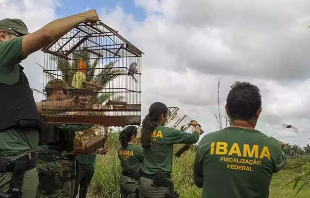 Servidores federais de órgãos do meio ambiente aprovam greve em Goiás