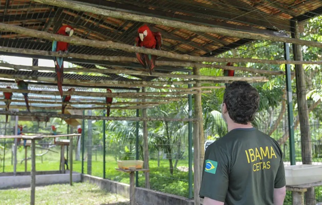 Servidores federais de órgãos do meio ambiente paralisam atividades em Goiás