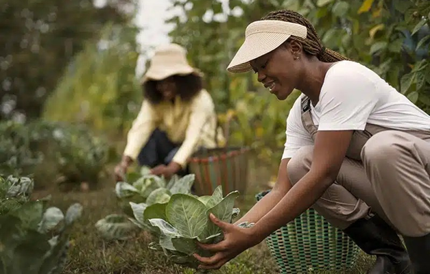 Sicoob Credi-Rural realiza 2º Seminário de Mulheres em Rio Verde 