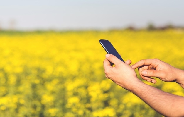 Sistema Faeg lança assistente virtual via WhatsApp
