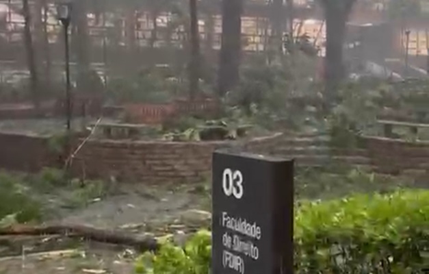 SP: Chuva derruba mais de 150 árvores e interdita Mackenzie de Higienópolis