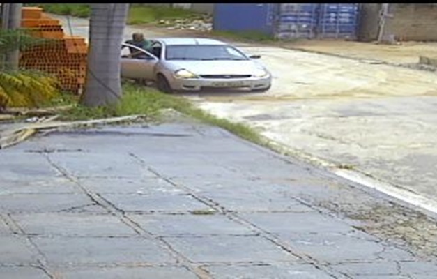 Suspeitos de abandonar cães em Goiânia são presos pela Polícia Civil