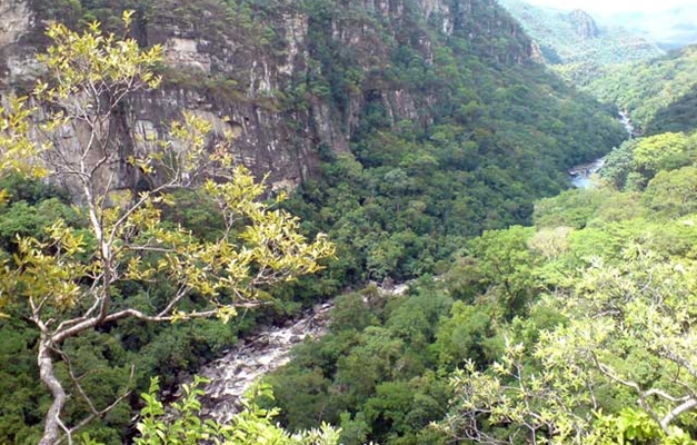 Goiás vai discutir preservação do Cerrado na Rio+20