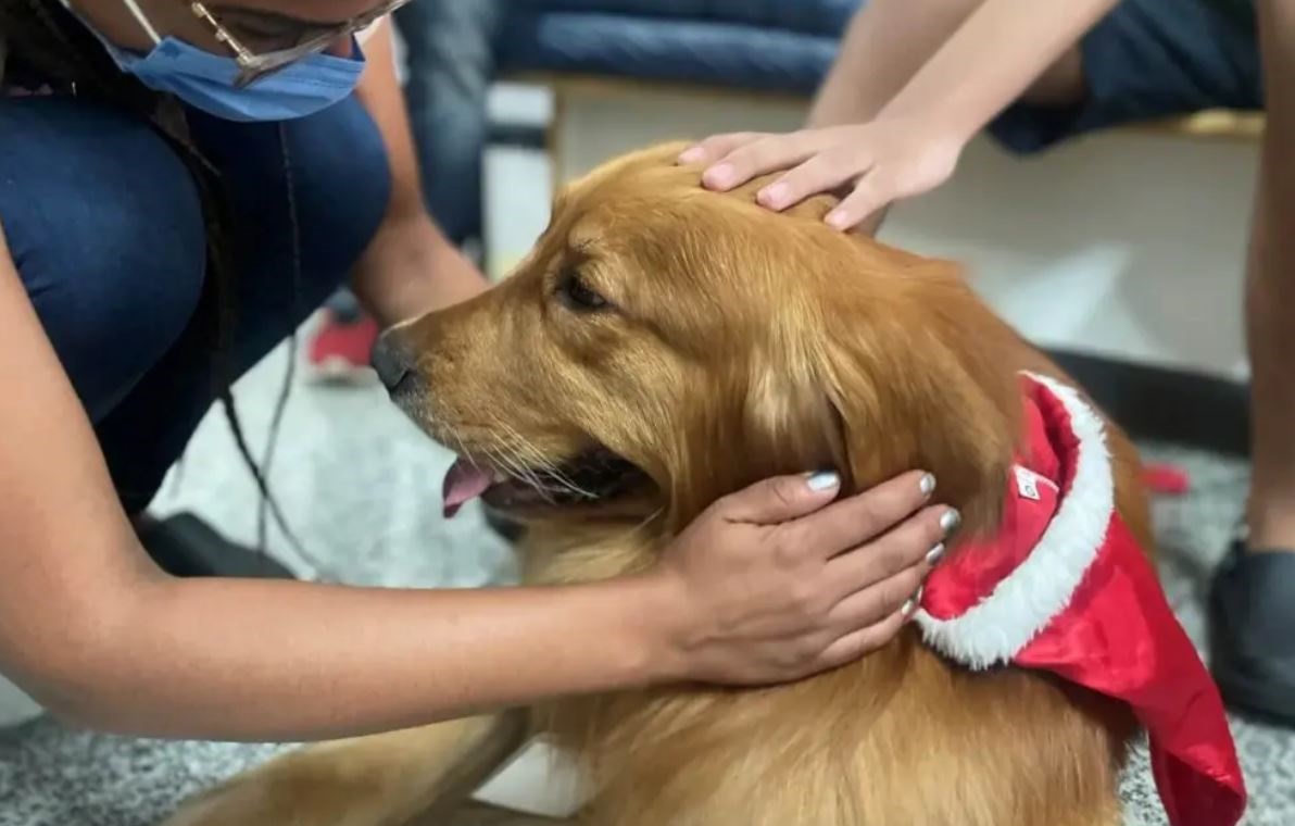 Terapia com animais revoluciona cuidados na área da saúde em Goiânia