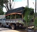 Agrodefesa coíbe comércio ambulante de plantas em Goiás