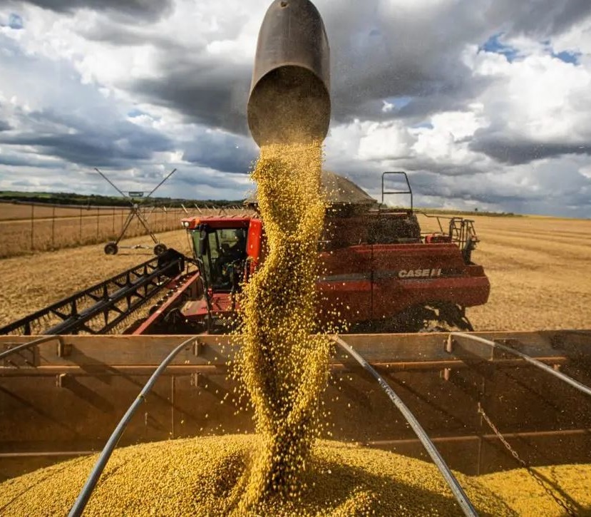 Agropecuária tem expansão de 68% no Cerrado em 2023