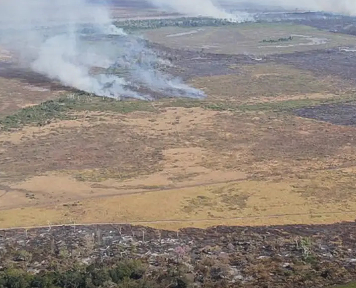 Amazônia e Cerrado: alerta de desmatamento cresce e mobiliza governo