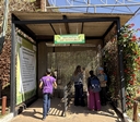 Ambiente imersivo proporciona experiência junto a aves no Zoo de Goiânia
