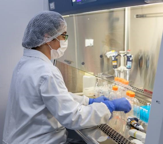 Anvisa libera testes em humanos da vacina do Butantan contra gripe aviária