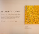 Arrematada por R$ 150 mil, obra de Siron Franco terá renda revertida ao Cora