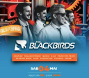 Banda The Blackbirds apresenta clássicos do rock e pop em Goiânia