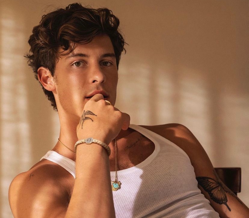 Cantor Shawn Mendes desembarca em Caldas Novas após show no Rock In Rio 