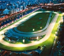 Conheça 5 detalhes únicos sobre o Jockey Club de São Paulo