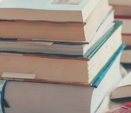 Dia Nacional do Livro: 6 bons livros de escritores brasileiros para ler antes do fim do ano