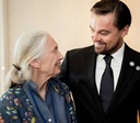 Diane Keaton: DiCaprio, Coppola, Jane Fonda e mais celebram legado da atriz
