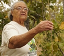 Documentário conta história de mestre goiana de plantas medicinais