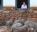 Documentário sobre Telma da Babilônia estreia em Pirenópolis