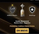 Falha no sistema da Conmebol impede botafoguenses de comprar bilhete para final da Libertadores