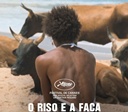 Festival de Cannes: Filme coproduzido no Brasil vence prêmio em segunda disputa mais importante