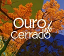 Fórum Trabalhista de Goiânia recebe a exposição ''Ouro do Cerrado''