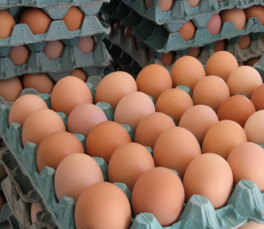 Goiás registra crescimento de 65,7% na produção de ovos
