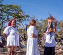 Inscrições abertas para o 8º Encontro de Raizeiros e Mestres da Chapada