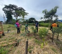 Instituto Plantadores de Água faz reflorestamento em Goiânia