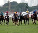 Jockey Club de São Paulo realiza a Copa dos Criadores 2025