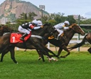 Jockey Club de São Paulo recebe a XXXI Copa Japão de Turfe