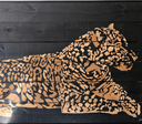 Joel Costa abre exposição “Arte Cerrado” em Goiânia