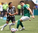 Palmeiras elimina o Botafogo e avança no Mundial de Clubes