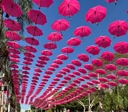 Praça Tamandaré será palco de atividades do Outubro Rosa em Goiânia