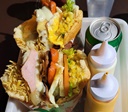 Prefeitura de Goiânia promove seminário para fortalecer segmento de pit-dogs
