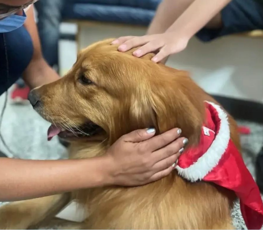 Terapia com animais revoluciona cuidados na área da saúde em Goiânia