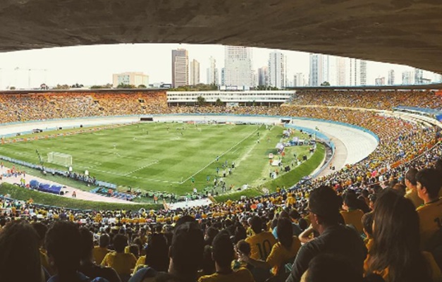 Torcedores postam no Instagram registros do jogo Brasil X Japão