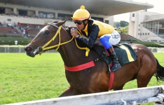 Três provas estão entre os destaques deste sábado no Jockey Club de SP