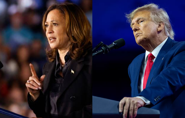 Trump e Harris aparecem tecnicamente empatados em nova pesquisa