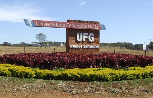 UFG abre processo seletivo com 598 vagas para portador de diploma