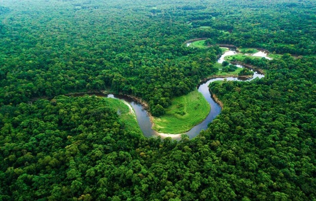União Europeia concretiza doação de 20 milhões de euros ao Fundo Amazônia