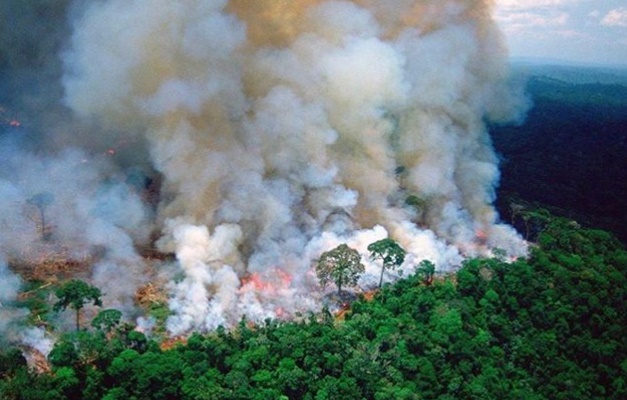 União Europeia quer Brasil engajado em pauta ambiental