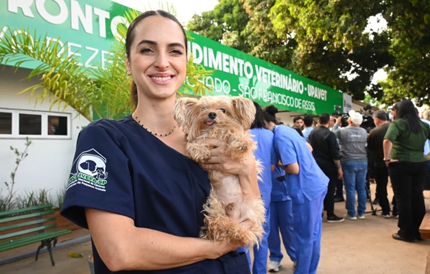 UPAVet registra mais de mil atendimentos de emergência em Goiânia