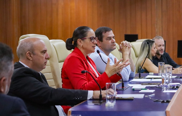 Vereadora Kátia pede suspensão da proibição de estacionamentos em avenidas