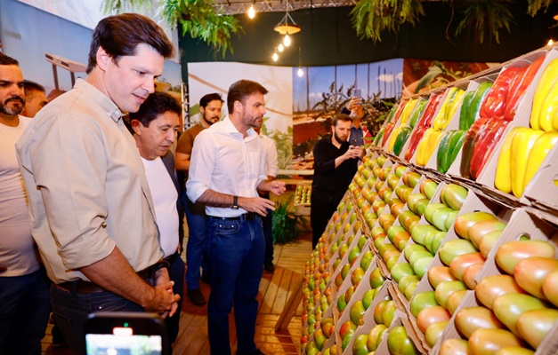 Vilela destaca protagonismo agrícola de Goianápolis na produção de tomate