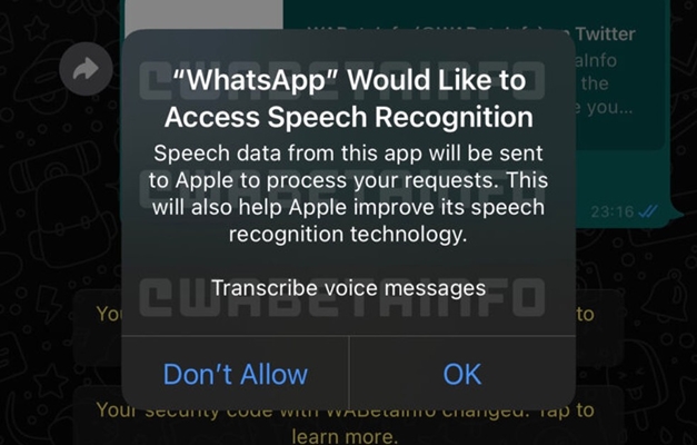 WhatsApp desenvolve função para transcrever mensagem de áudio