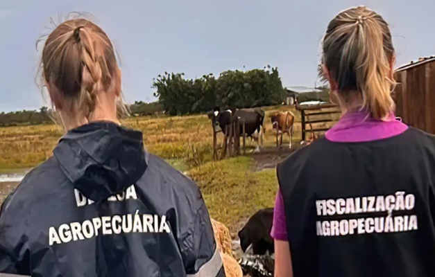 Zoológico de Brasília é fechado após suspeita de gripe aviária