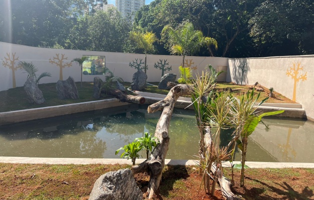 Zoológico de Goiânia inaugura recinto para acolher lontras